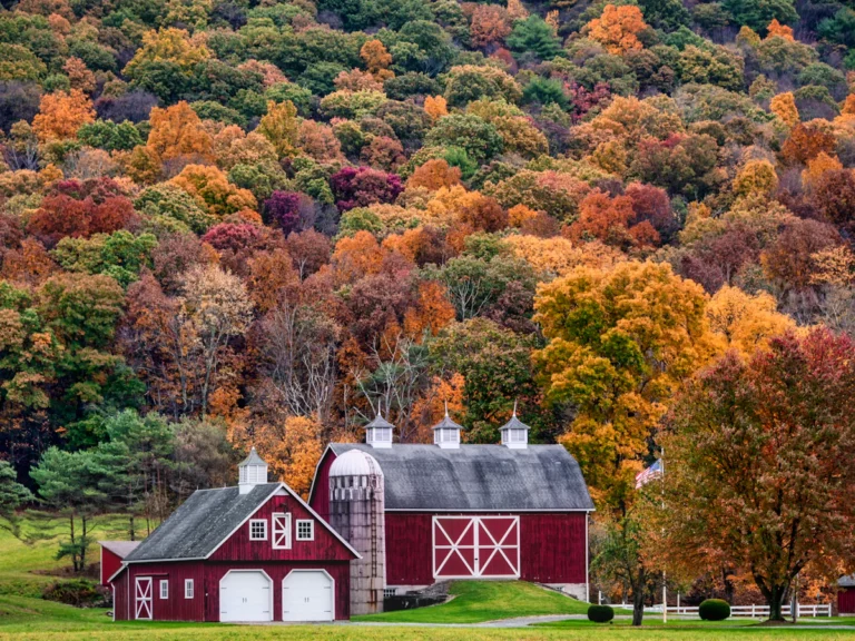 Red and white barn surrounded by trees