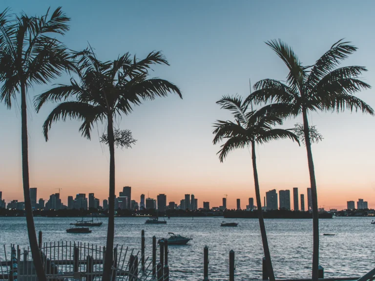 Silhouette of palm trees near body of water during sunset