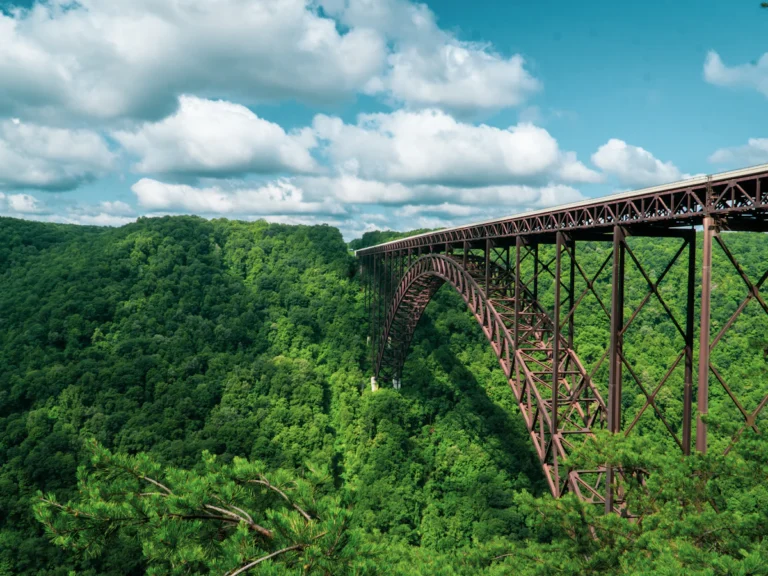 Gray metal bridge over green trees under white clouds and blue sky during daytime